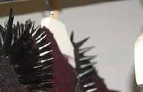 Detalhes que enriquecem